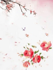夕陽(yáng)。惜緣