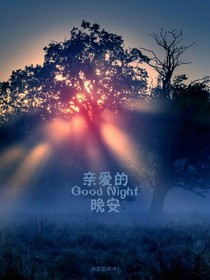 晚安物语