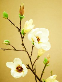 烟花易冷