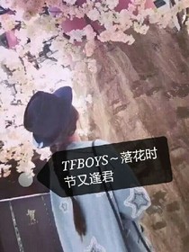 TF之落花时节又逢君