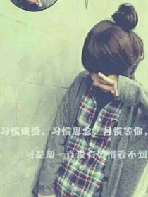 向日葵：依然灿烂