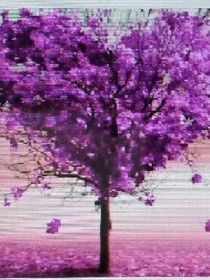 百云