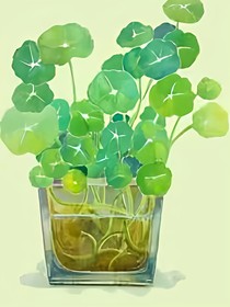 彩虹水果茶