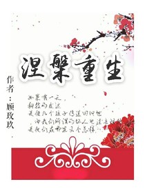 涅槃重生之虚拟世界
