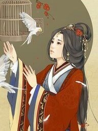 婳妃传