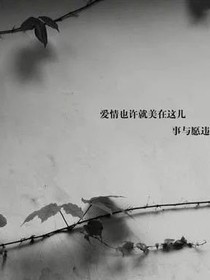 我管你的感受