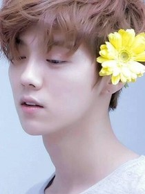 鹿晗，被你虐够了
