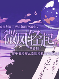 微风轻轻起：我在等风也等你