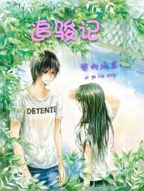 追骏记