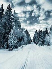 风与雪
