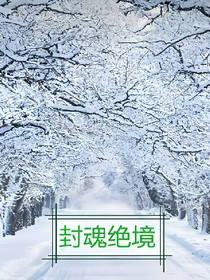 封魂绝境——不灭