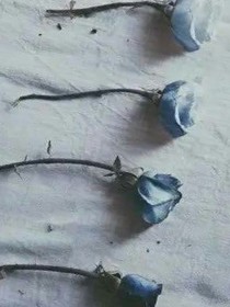 EXO之幻煙