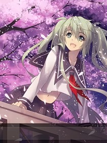 王者精灵