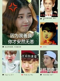 ding你的小智障已上线