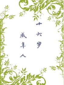 十六岁成年人