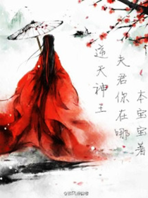逆天神王；夫君你在哪