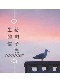 给陶子先生的信