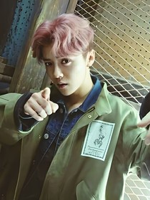 exo.南风未起，喜你成疾.