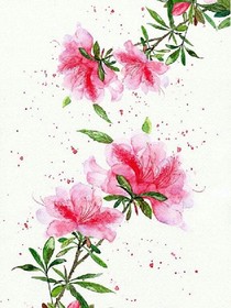 情缘校草萌萌哒妹子