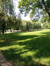 路过夏梦