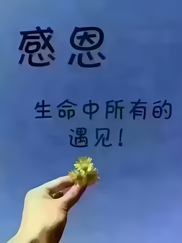愿结局是余生