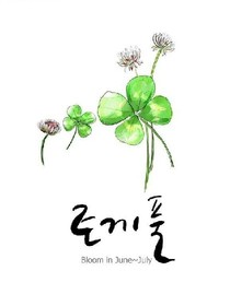幸運草的秘密