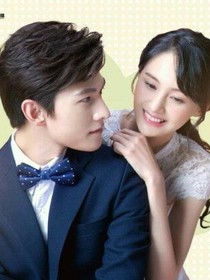 霸道總裁的甜美小妻。