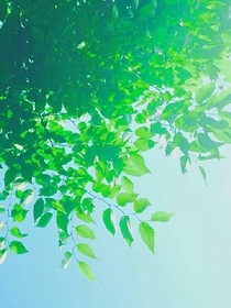 致那些年