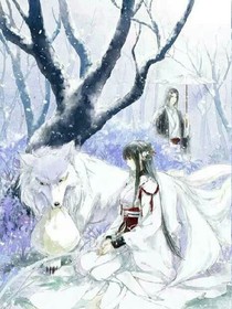 神医皇后