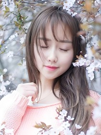 韩亦辰苏浅沫的爱情