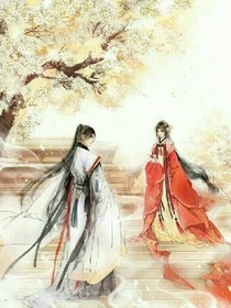 以一场繁华，候一次花开