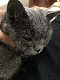 机长去哪里了？