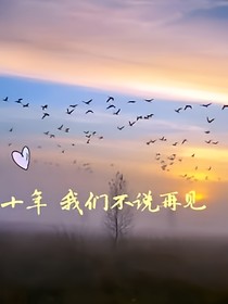 十年一品