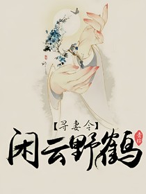 寻妻令：闲云野鹤