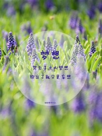 遇见你—致我们的青春