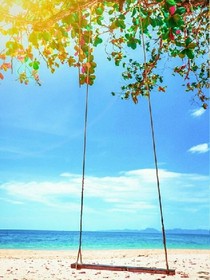 那年初夏，我遇见了你们