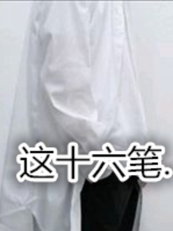 这十六笔