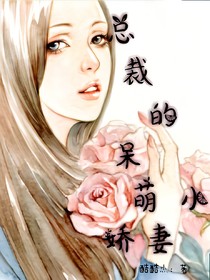 总裁的呆萌小娇妻