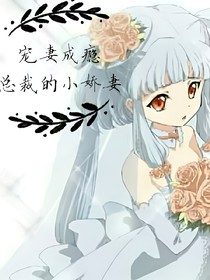 寵妻成癮：總裁的小嬌妻