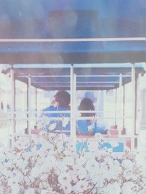 南方的南，北方的你