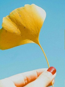 晚城雾归远