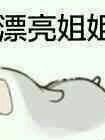 曾于梦中见过你