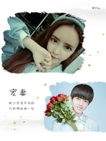 凯少宠妻不归路