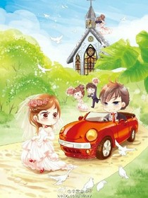 冰山boss劫個(gè)婚