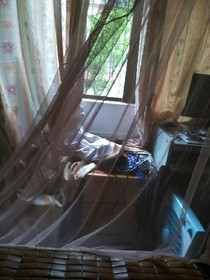 太子殿下狠狠爱