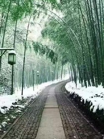秋粱
