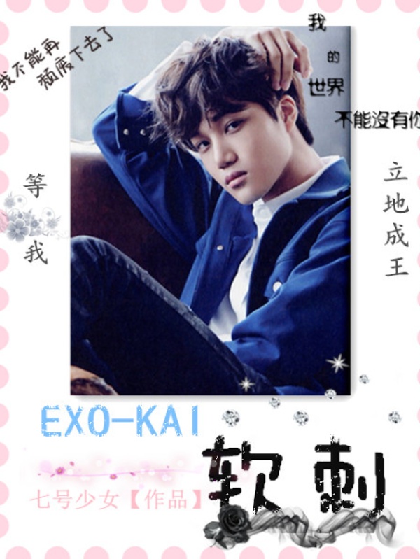EXO-KAI软刺