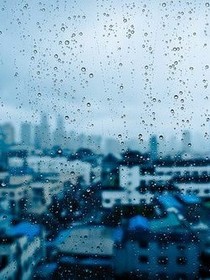 蔻蔻