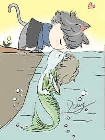 猫和鱼的爱情