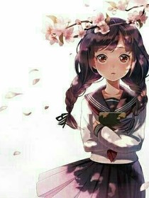 猫与人
